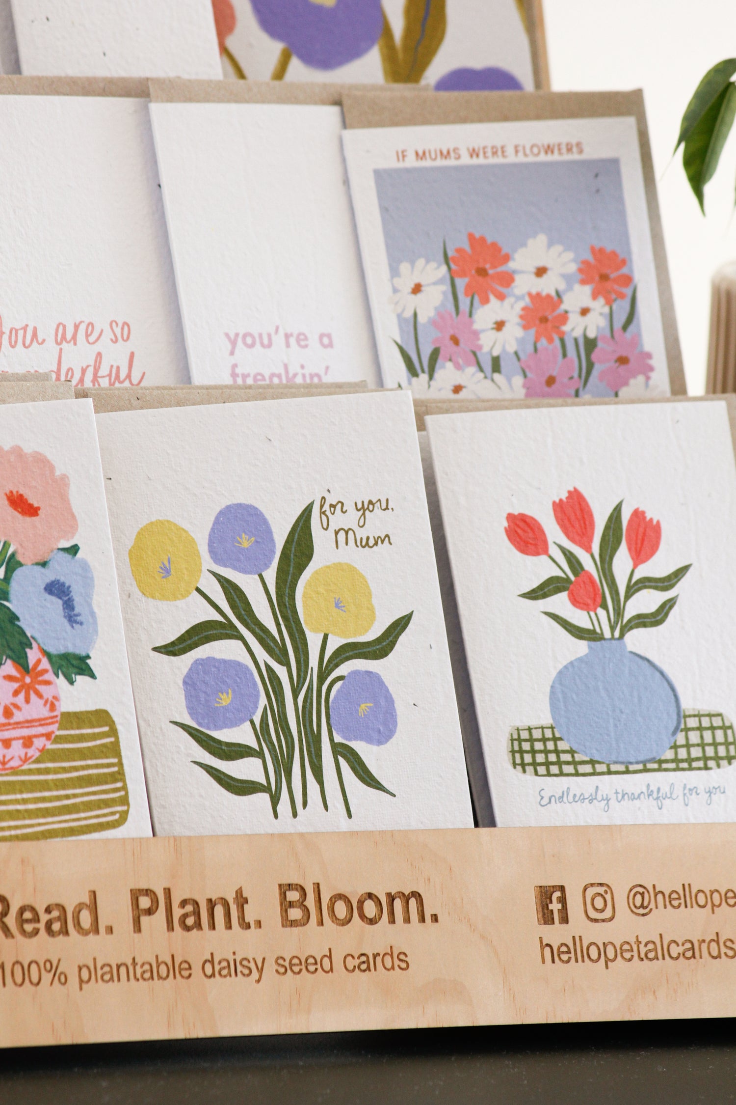 Greeting Cards