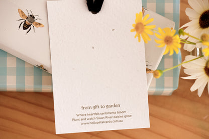 Bloom Eco-luxe Plantable Gift Tag
