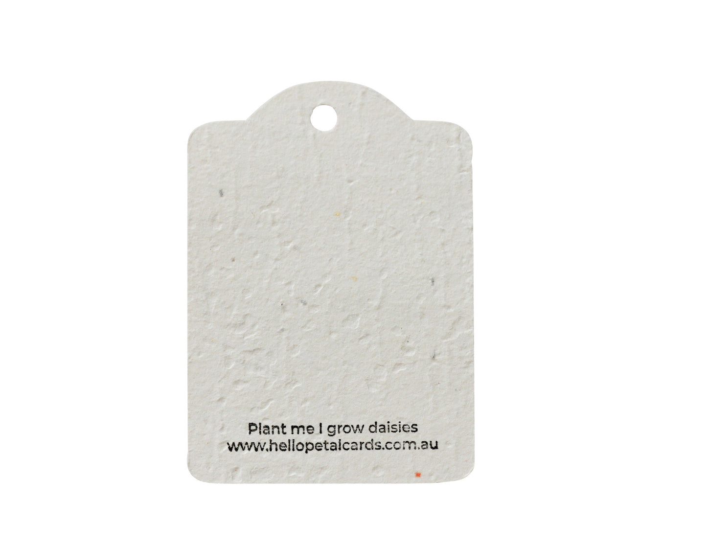 Poppy Plantable Gift Tags