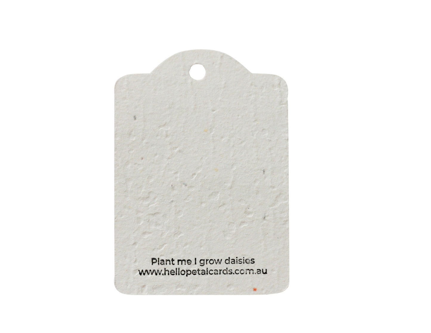 Flower Market Plantable Gift Tags
