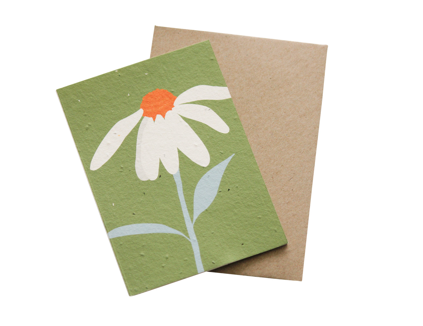 Hey Flower Plantable Card
